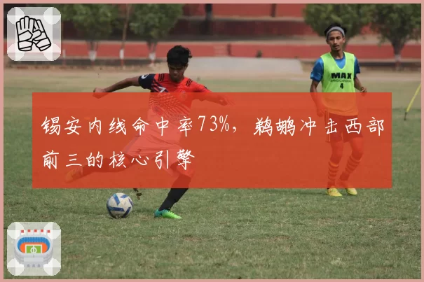 锡安内线命中率73%，鹈鹕冲击西部前三的核心引擎